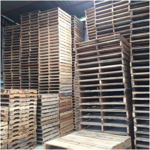 รับซื้อพาเลทไม้ใช้แล้ว ฉะเชิงเทรา